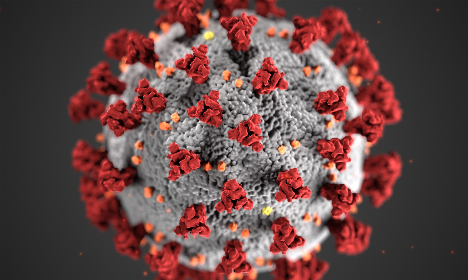 COVID molecule on black background